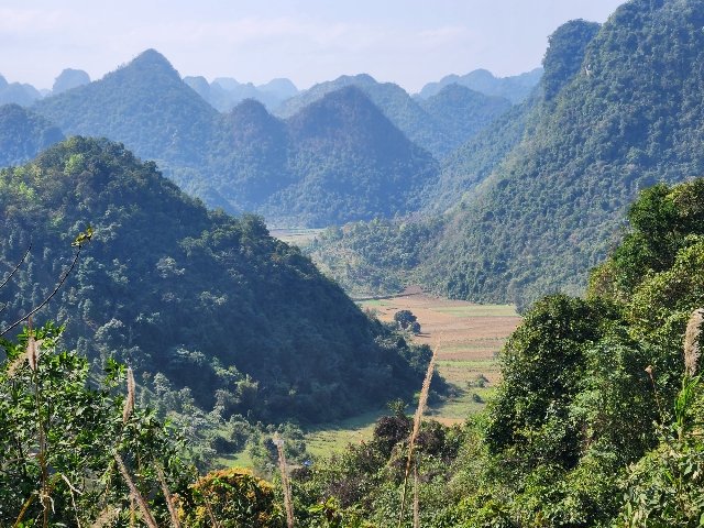 Vietnam mountain bikes Trail